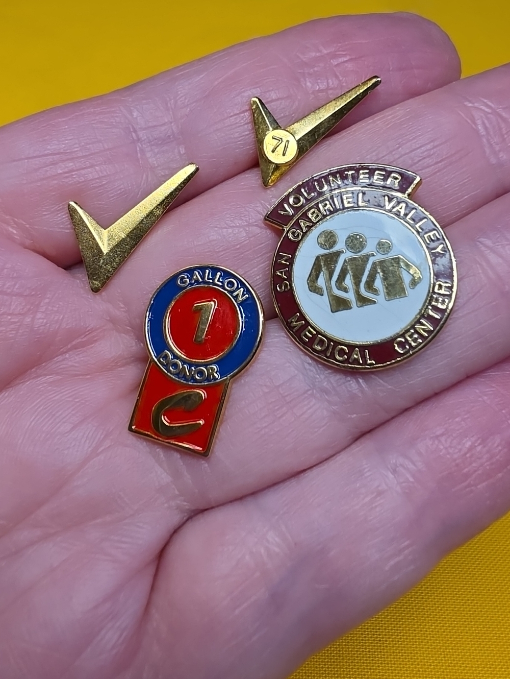 Vintage Hospital Volunteer ▪︎ 1-Gallon Blood Donor ▪︎ UAW ▪︎ Pin Lot (4 Pcs)